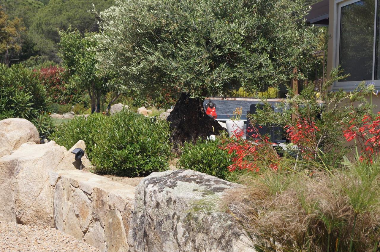 Les Jardins De Santa Giulia - Charmante Chambre D'Hote Porto Vecchio Exterior foto